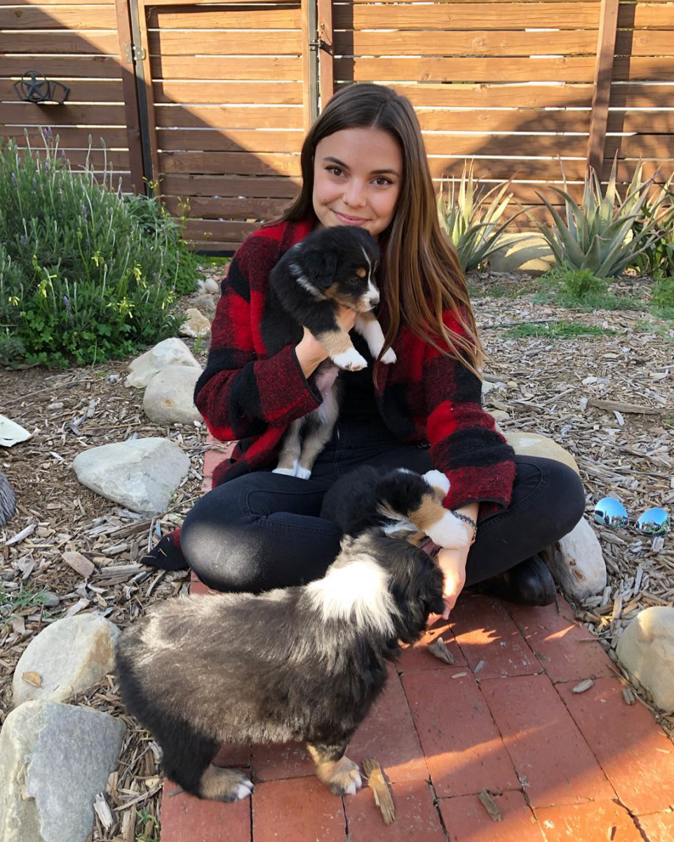Brooke Wexler Wiki