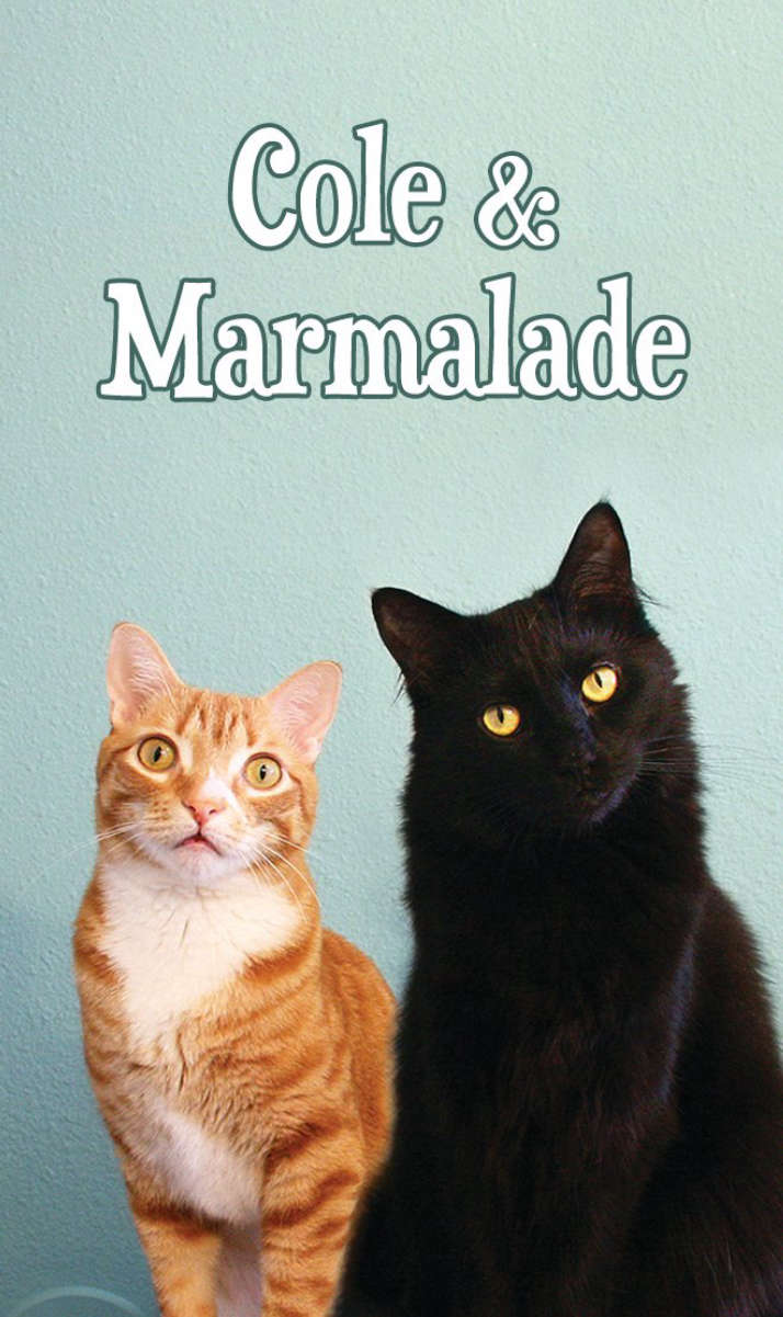 Cole & Marmalade Wiki