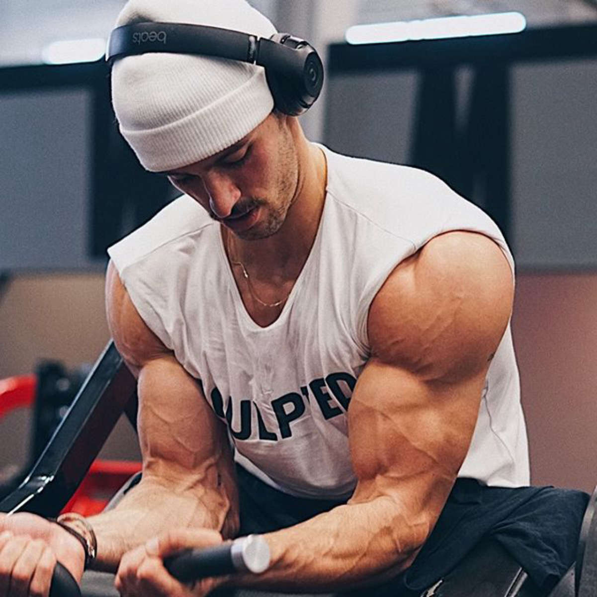 Steven Kelly (Instagram Star) Wiki
