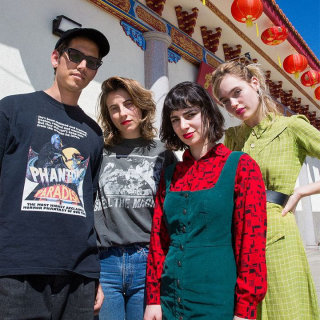 The Paranoyds Wiki