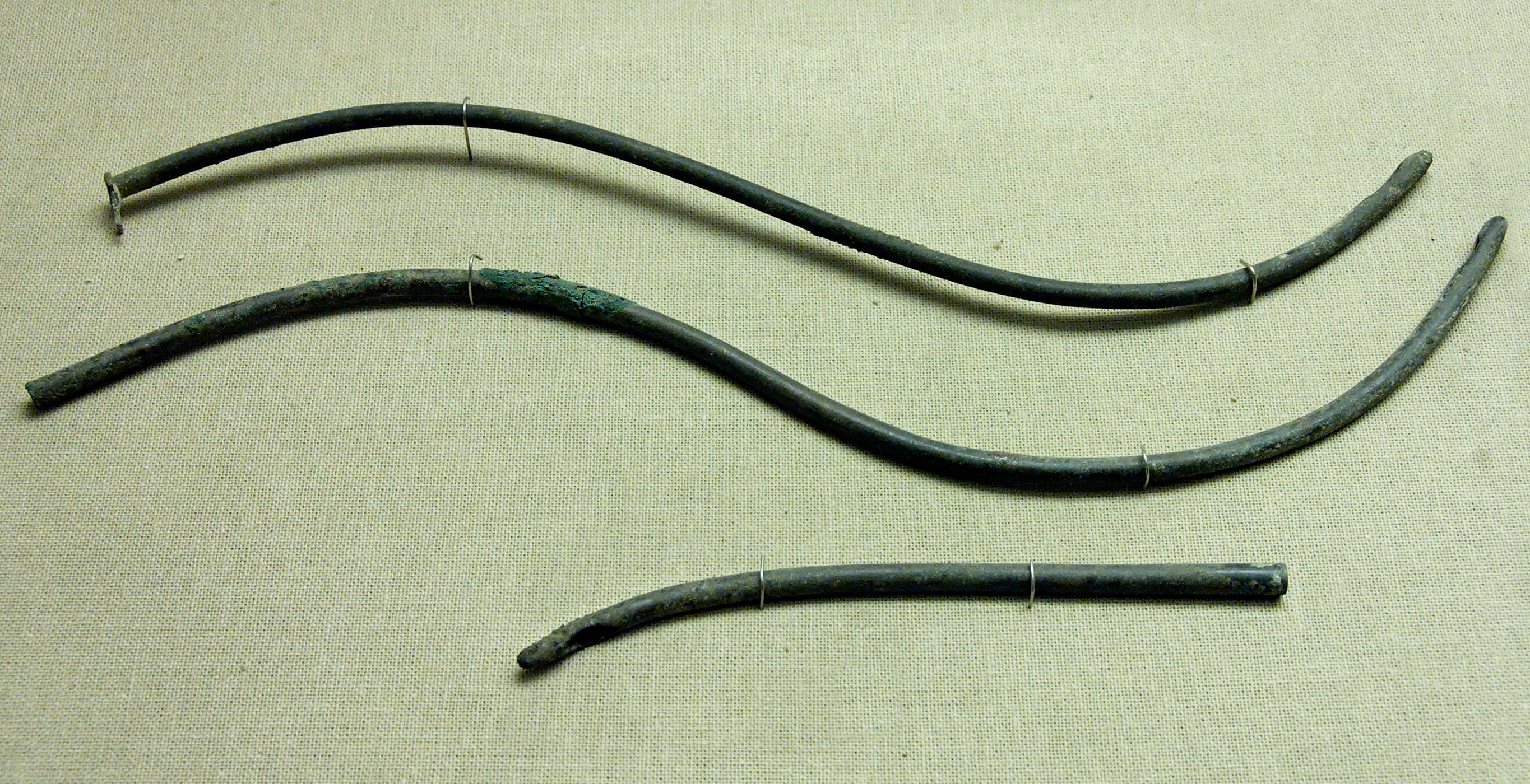 Medicine in ancient Rome Wiki Everipedia