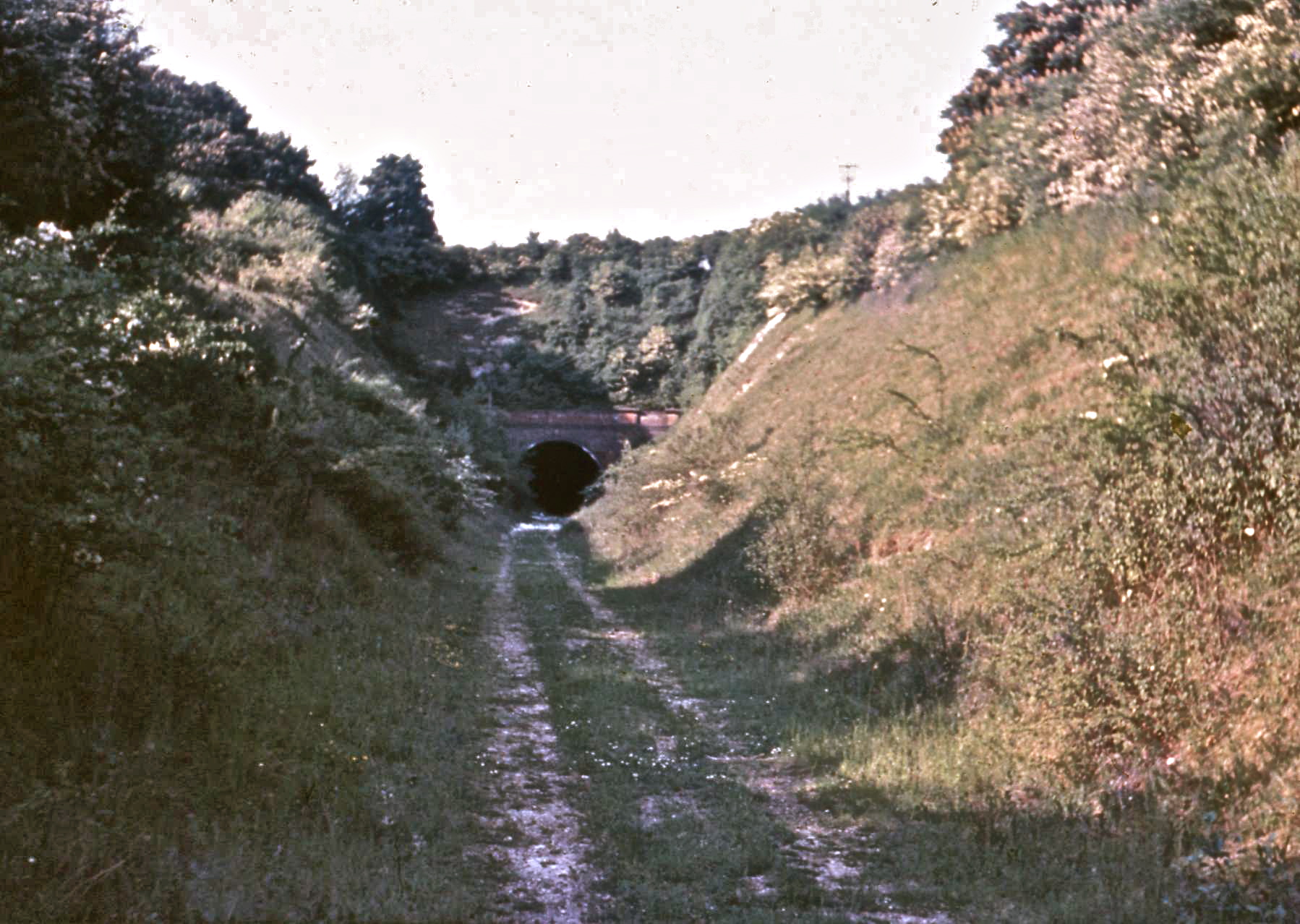 Meon Valley Railway Wiki Everipedia