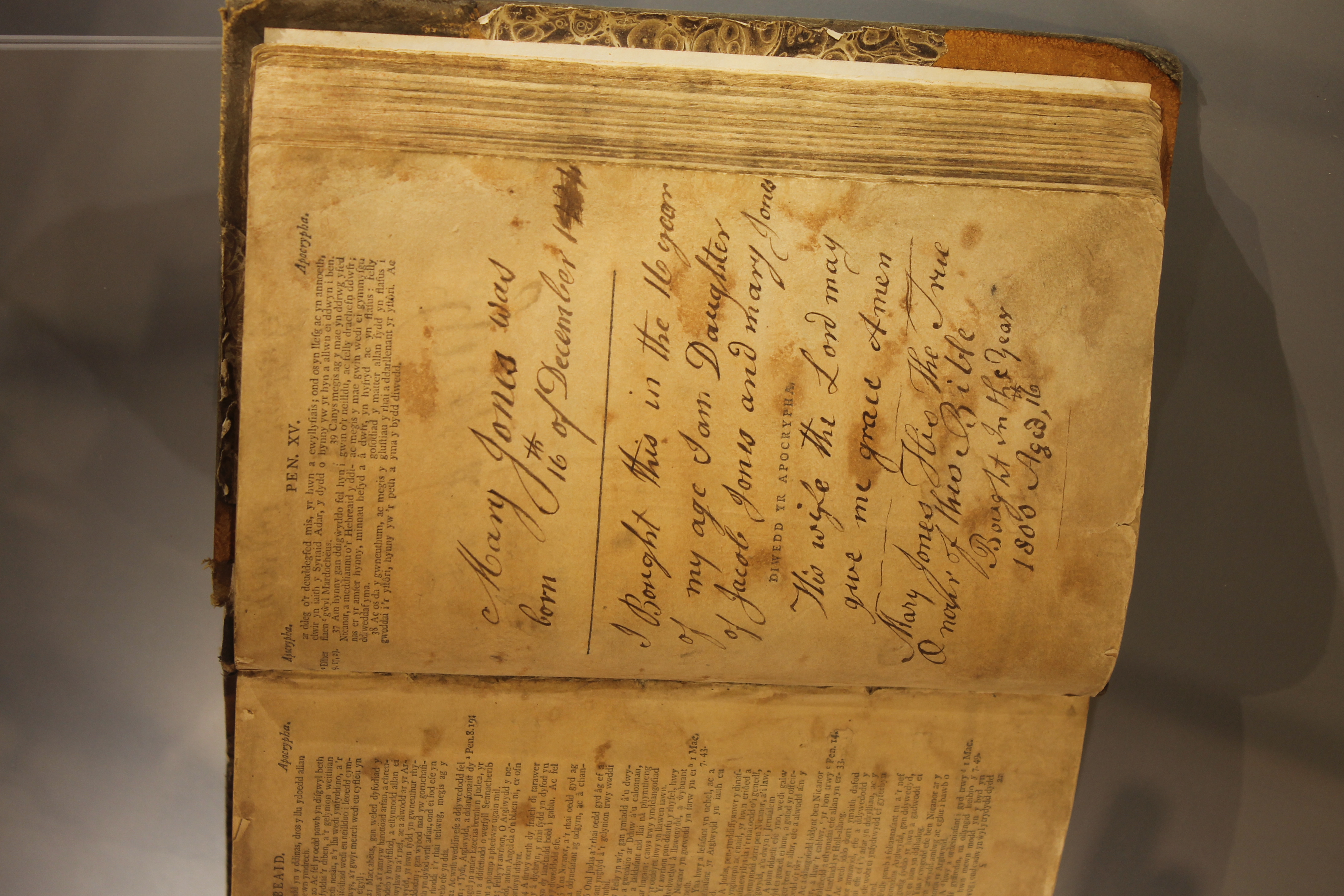 Mary Jones And Her Bible Wiki Everipedia mary-jones-and-her-bible-wiki-everipedia