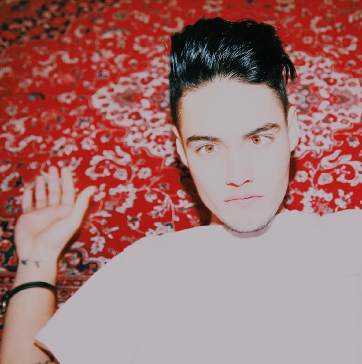 Levi Dylan | Wiki & Bio | Everipedia