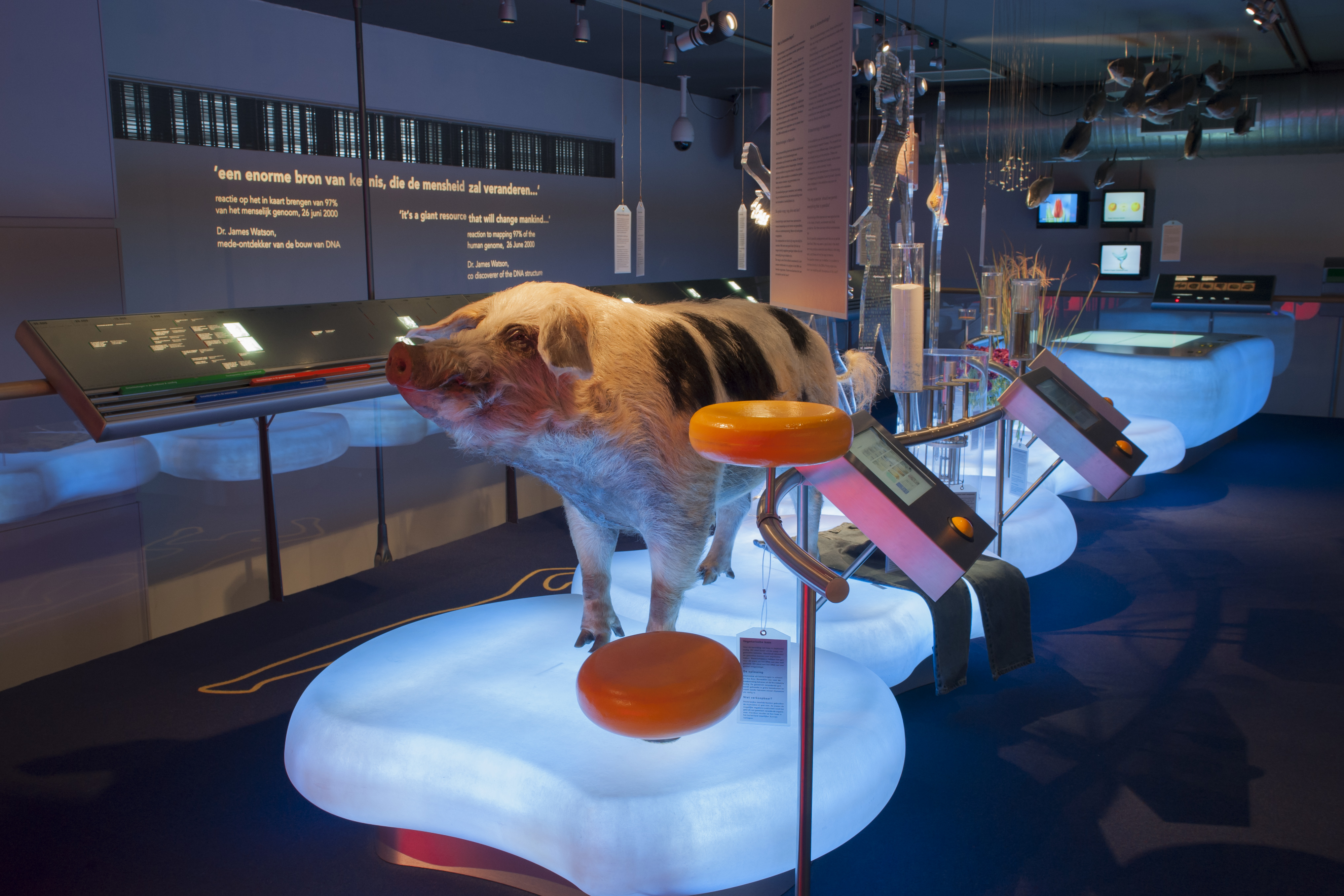 Genetically modified organism | Wiki | Everipedia
