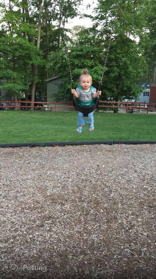 Michael Disporto Wiki