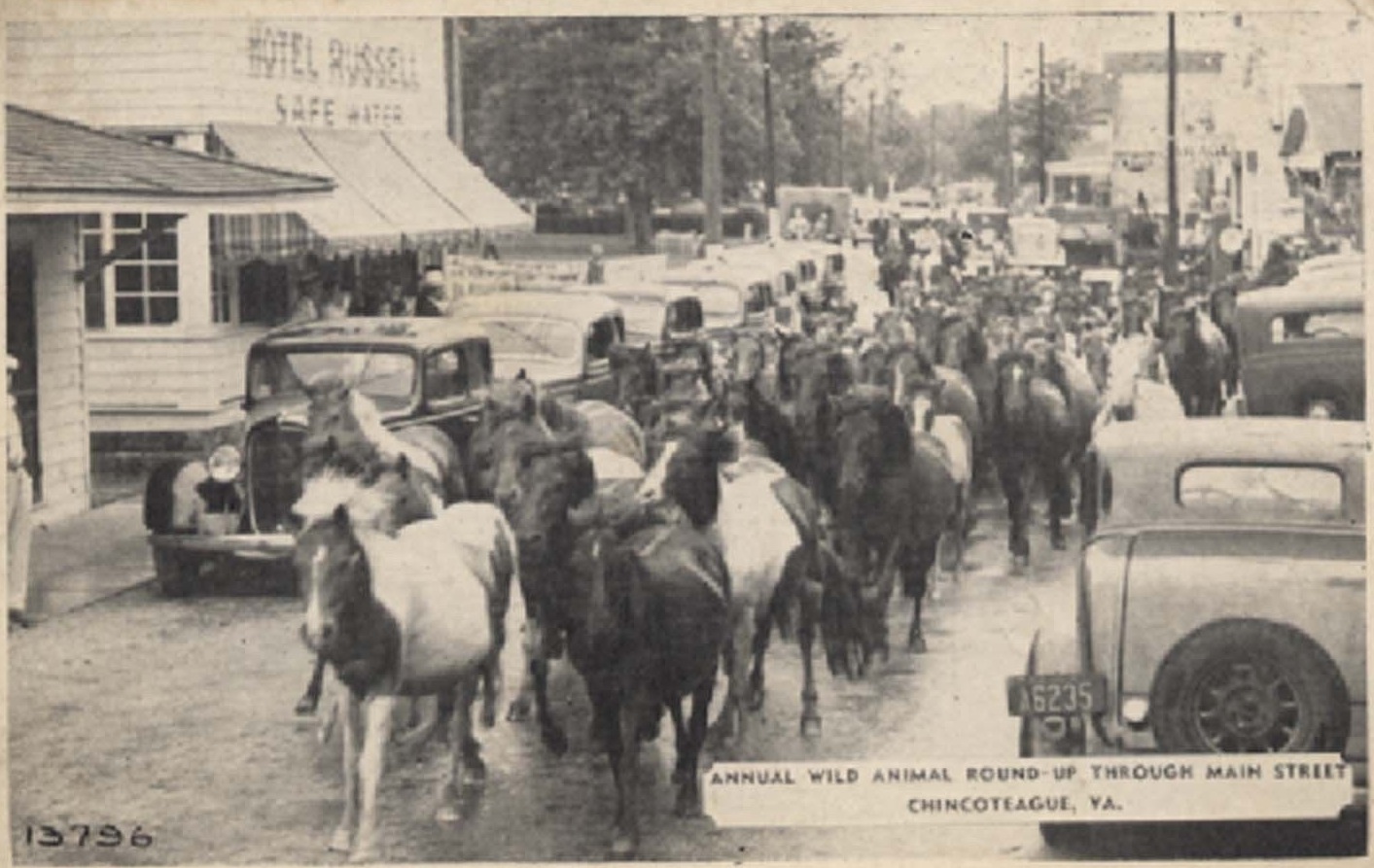 History of Chincoteague, Virginia Wiki Everipedia