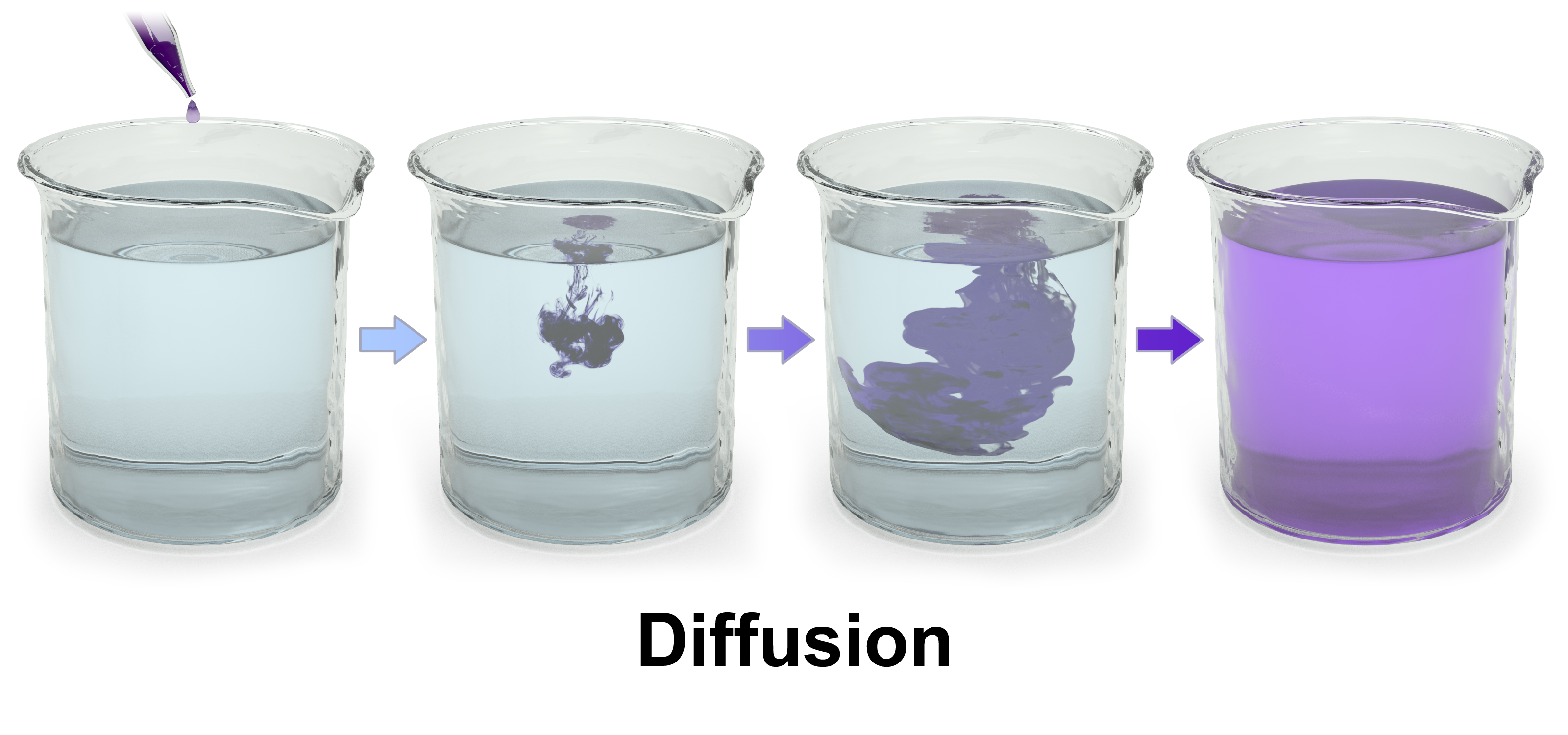 experiment 5 gas diffusion experiment 5 gas diffusion