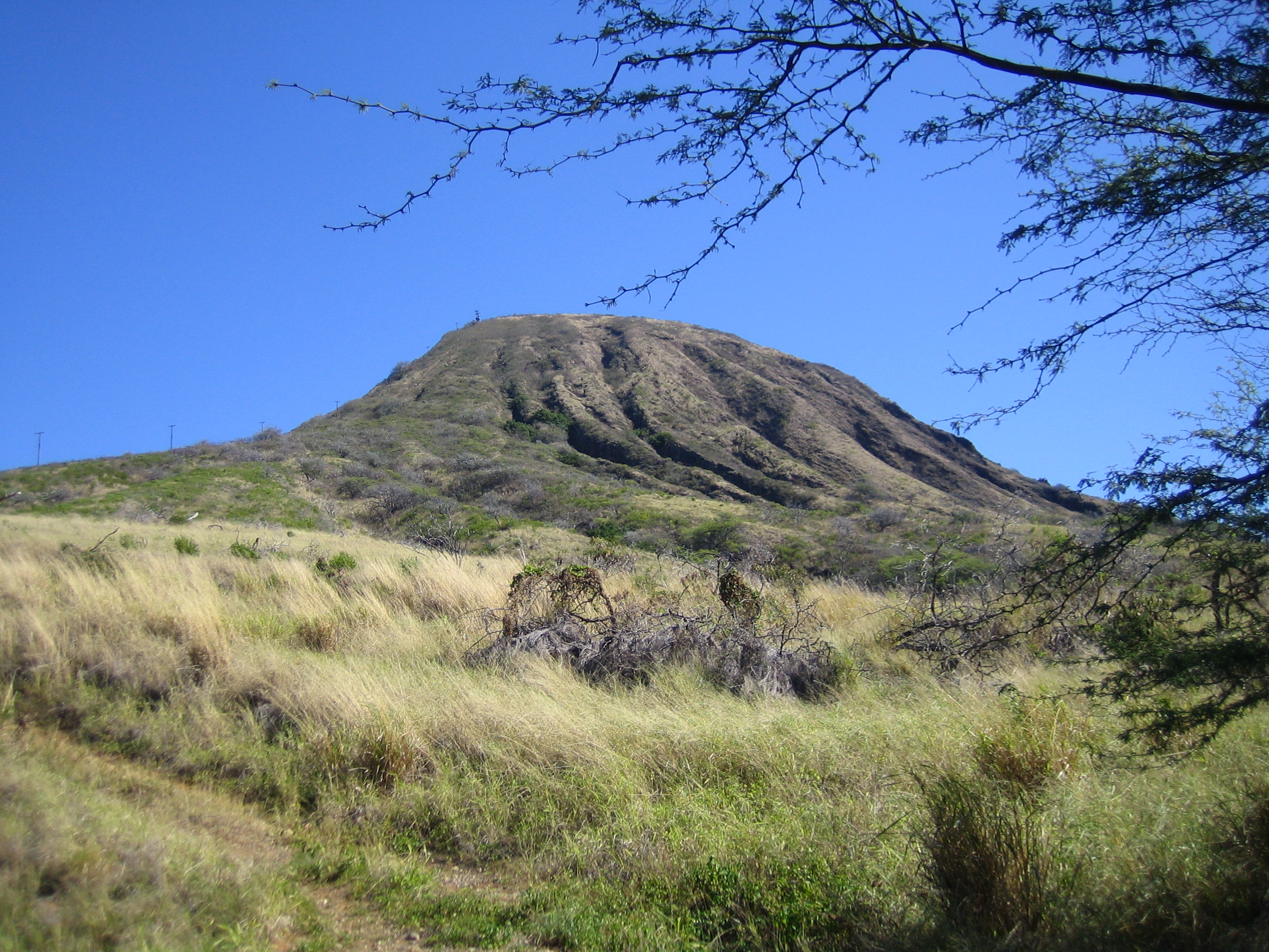 Phreatomagmatic eruption | Wiki | Everipedia