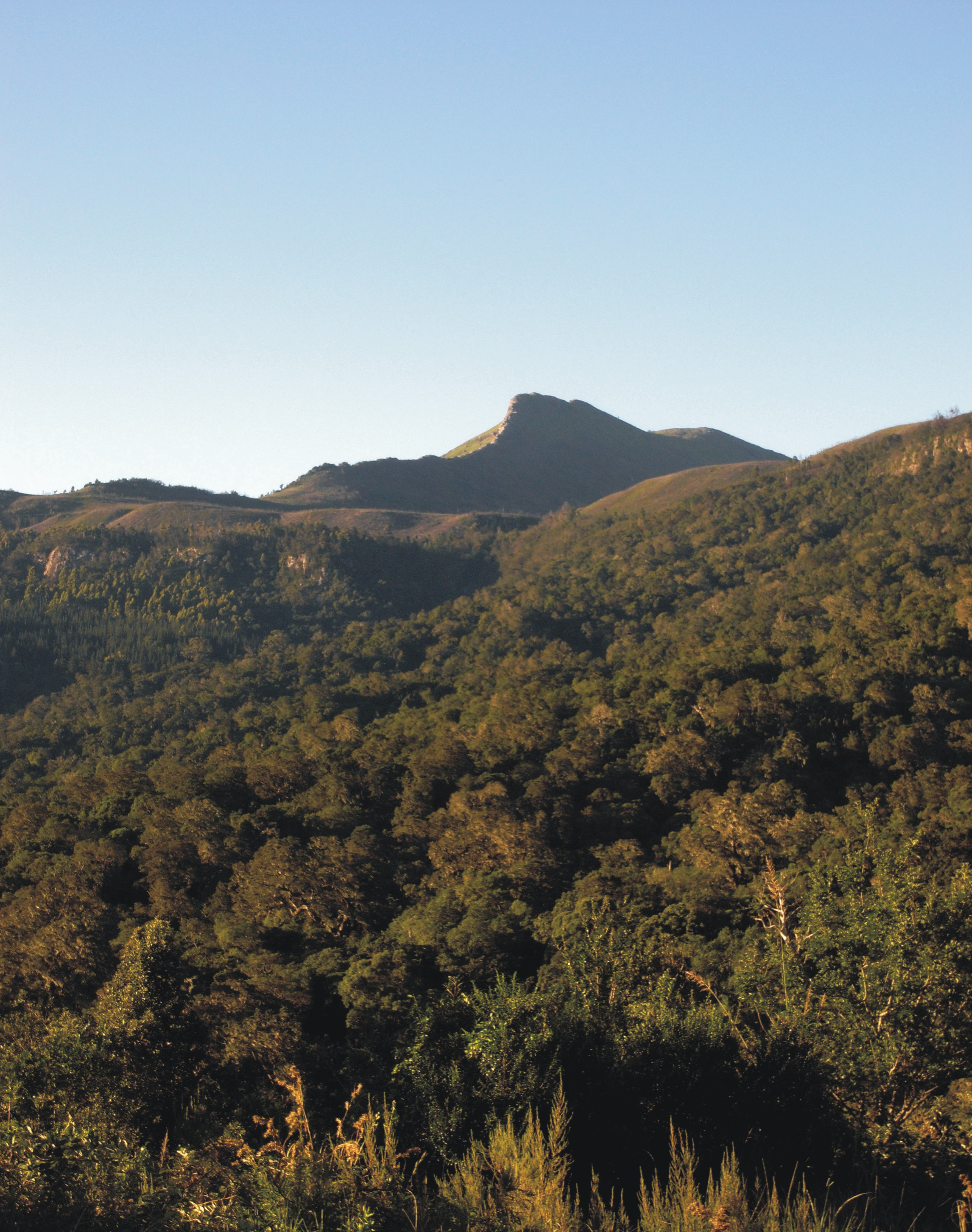 Hogsback, Eastern Cape Wiki Everipedia