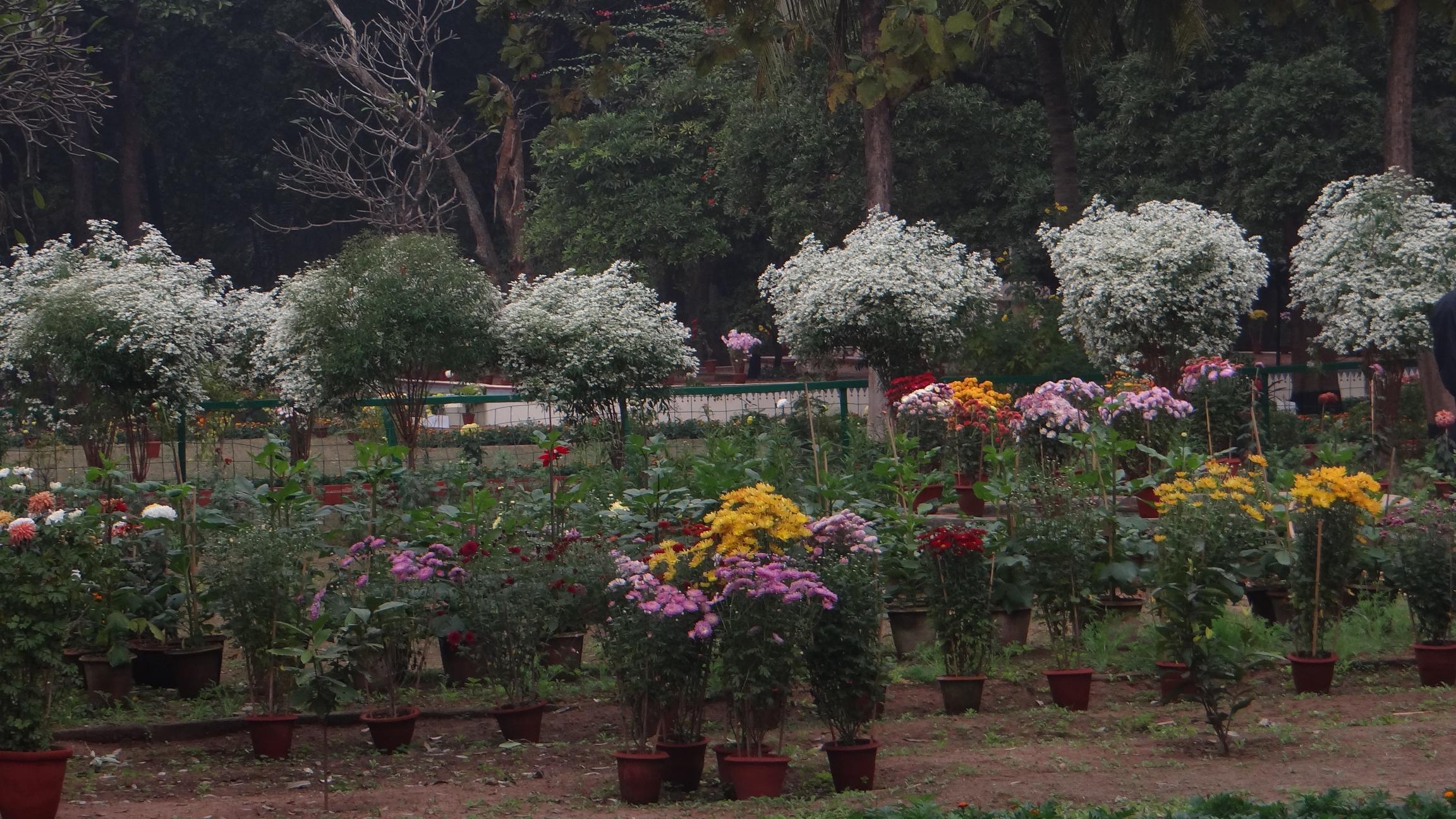 a town of historical importance shantiniketan Rasagolla, rosogolla, gi tag, bengal rasagolla, bengal rosogolla, biswa bangla, bengal, bishwa bangla, bengal treasure, durga, puja, carnival, fifa, fifa, festival. a town of historical importance shantiniketan Rasagolla, rosogolla, gi tag, bengal rasagolla, bengal rosogolla, biswa bangla, bengal, bishwa bangla, bengal treasure, durga, puja, carnival, fifa, fifa, festival.