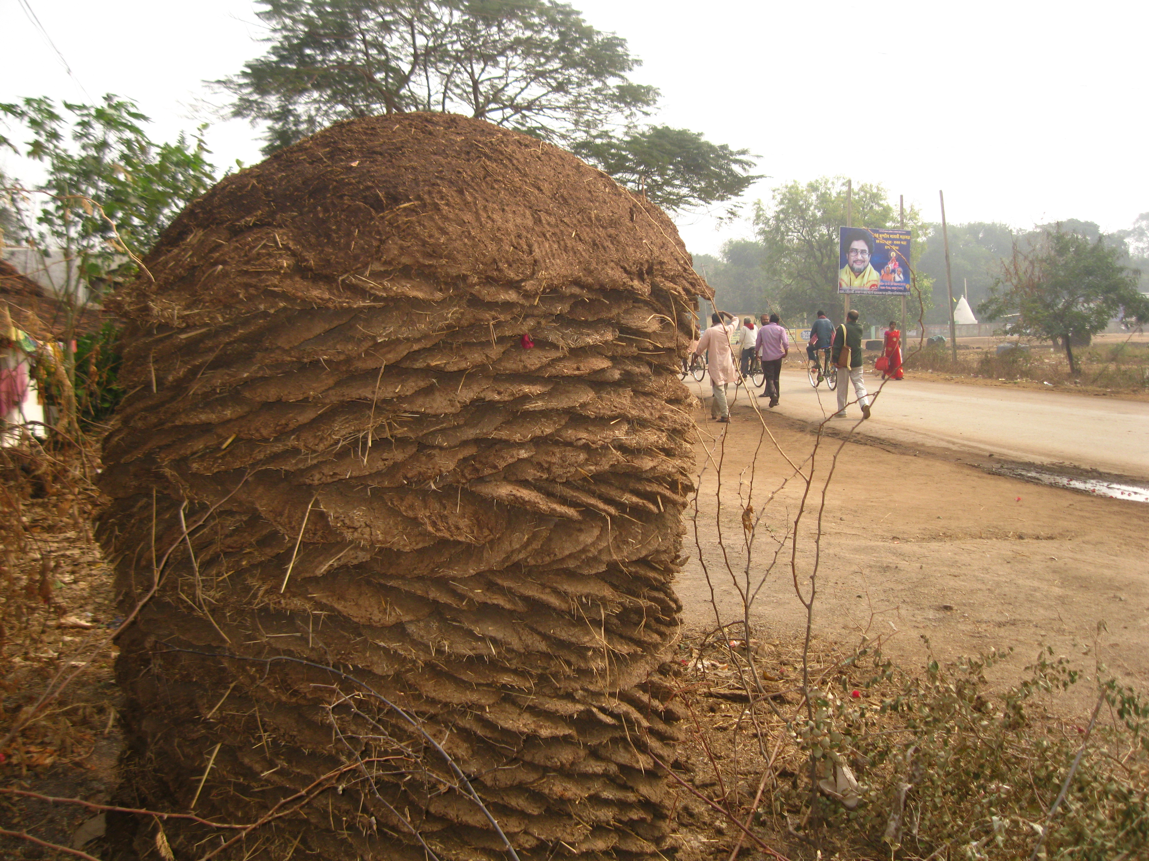 Cow Dung Wiki Everipedia cow-dung-wiki-everipedia