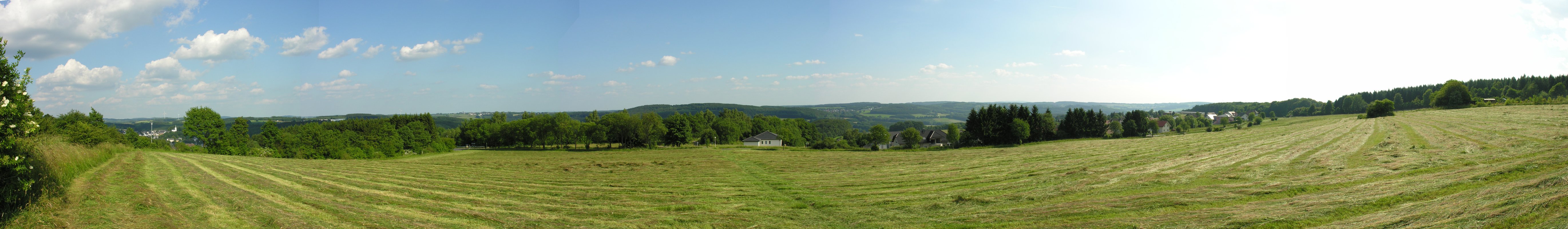 Single westerwald
