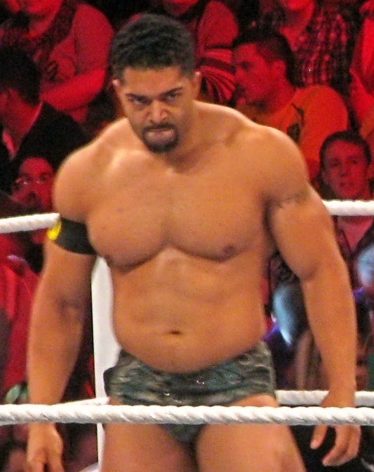 David Otunga Wiki & Bio Everipedia
