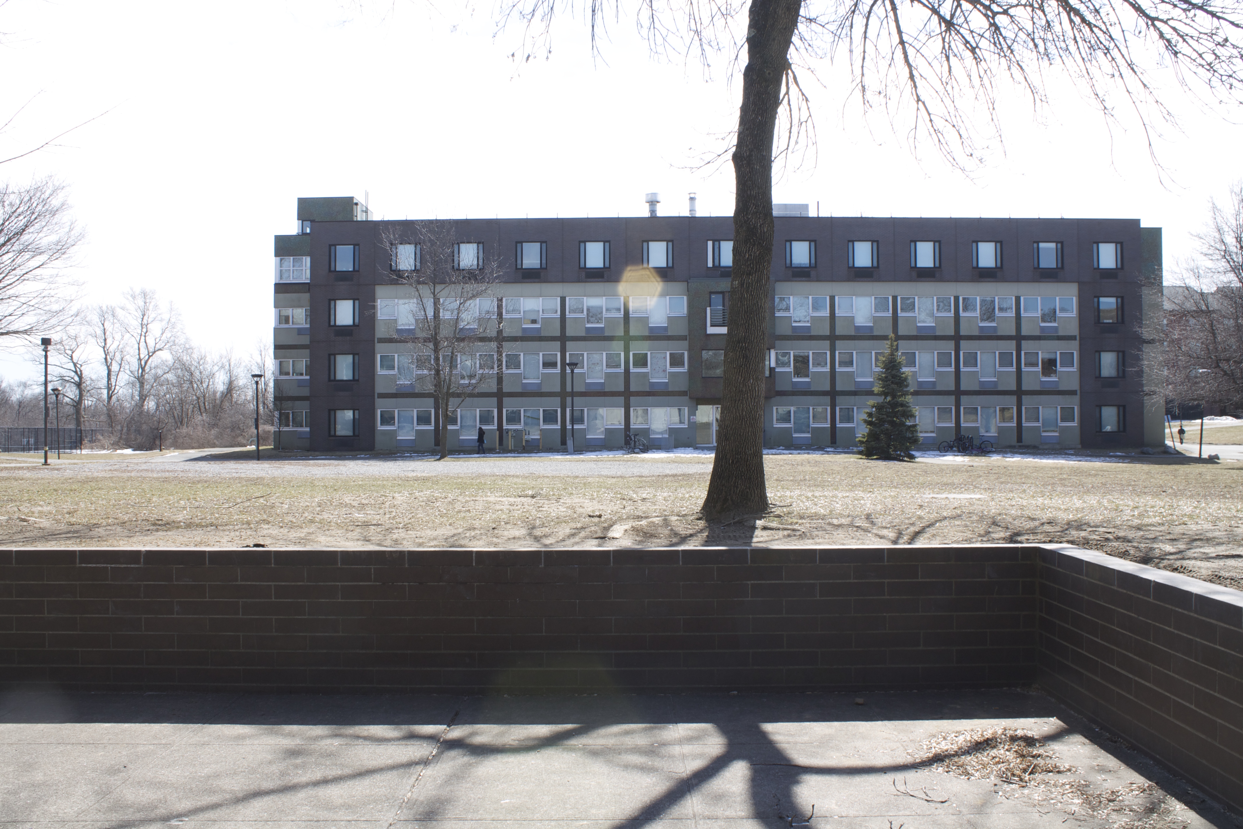suny purchase thesis film suny purchase thesis film