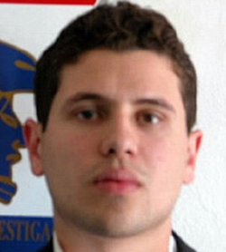 jesus alfredo guzmán wiki bio everipedia