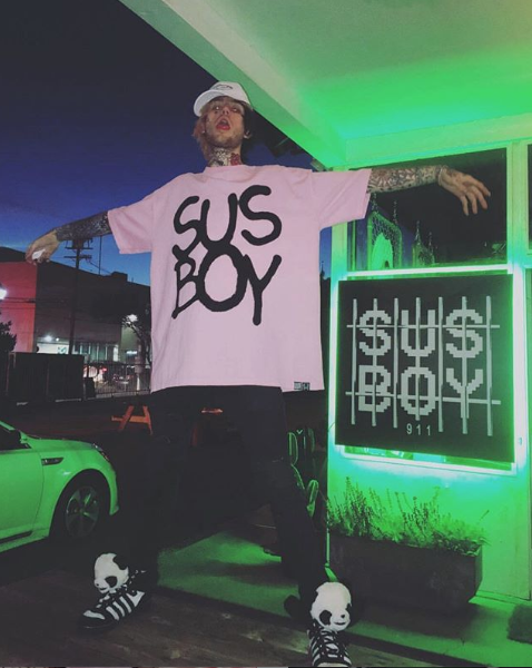 Sus Boy (Artist) Wiki