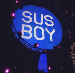 Sus Boy (Artist) Wiki & Bio