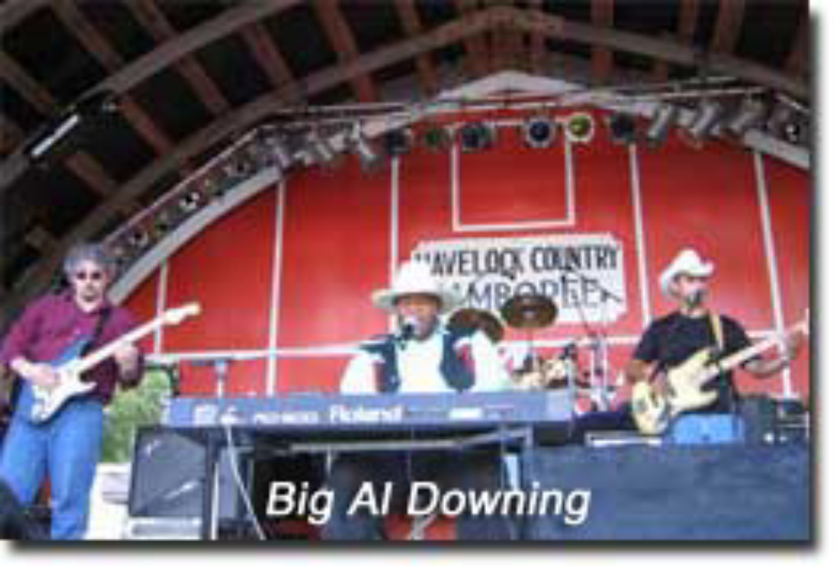 A the al performance
