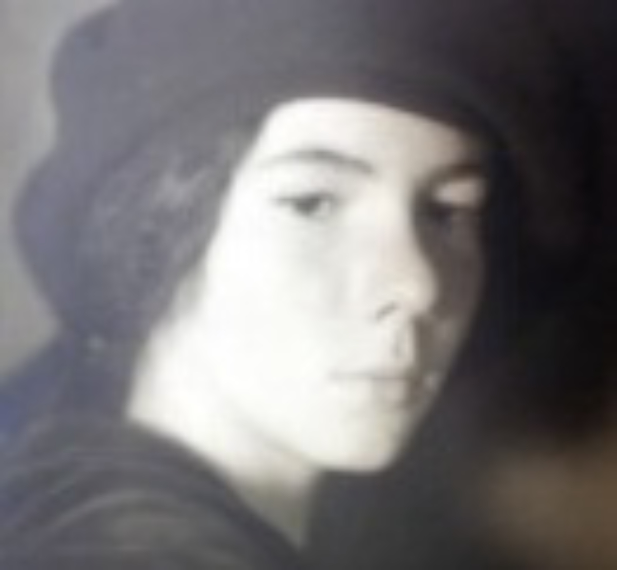 Дом без окон барбара фоллетт