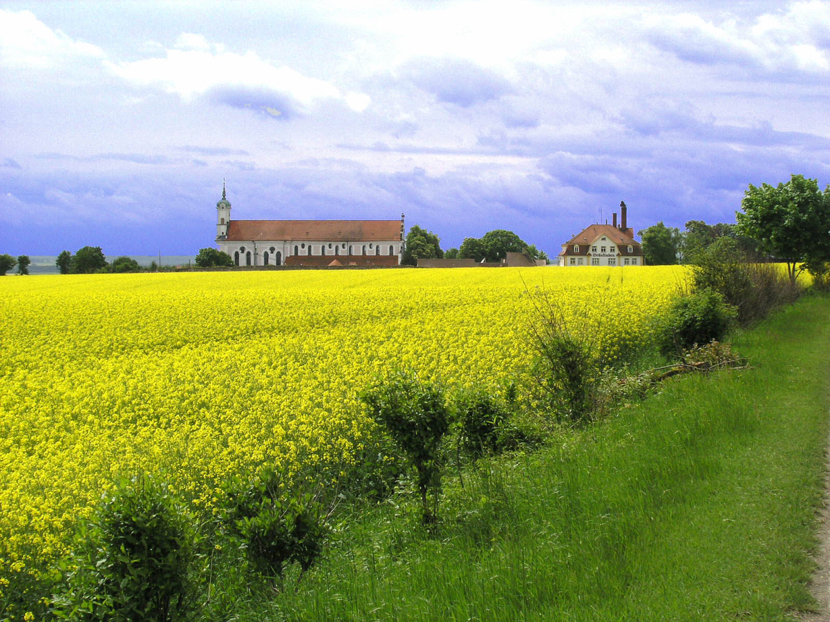 The battlefield in front of the monastery of Elchingen