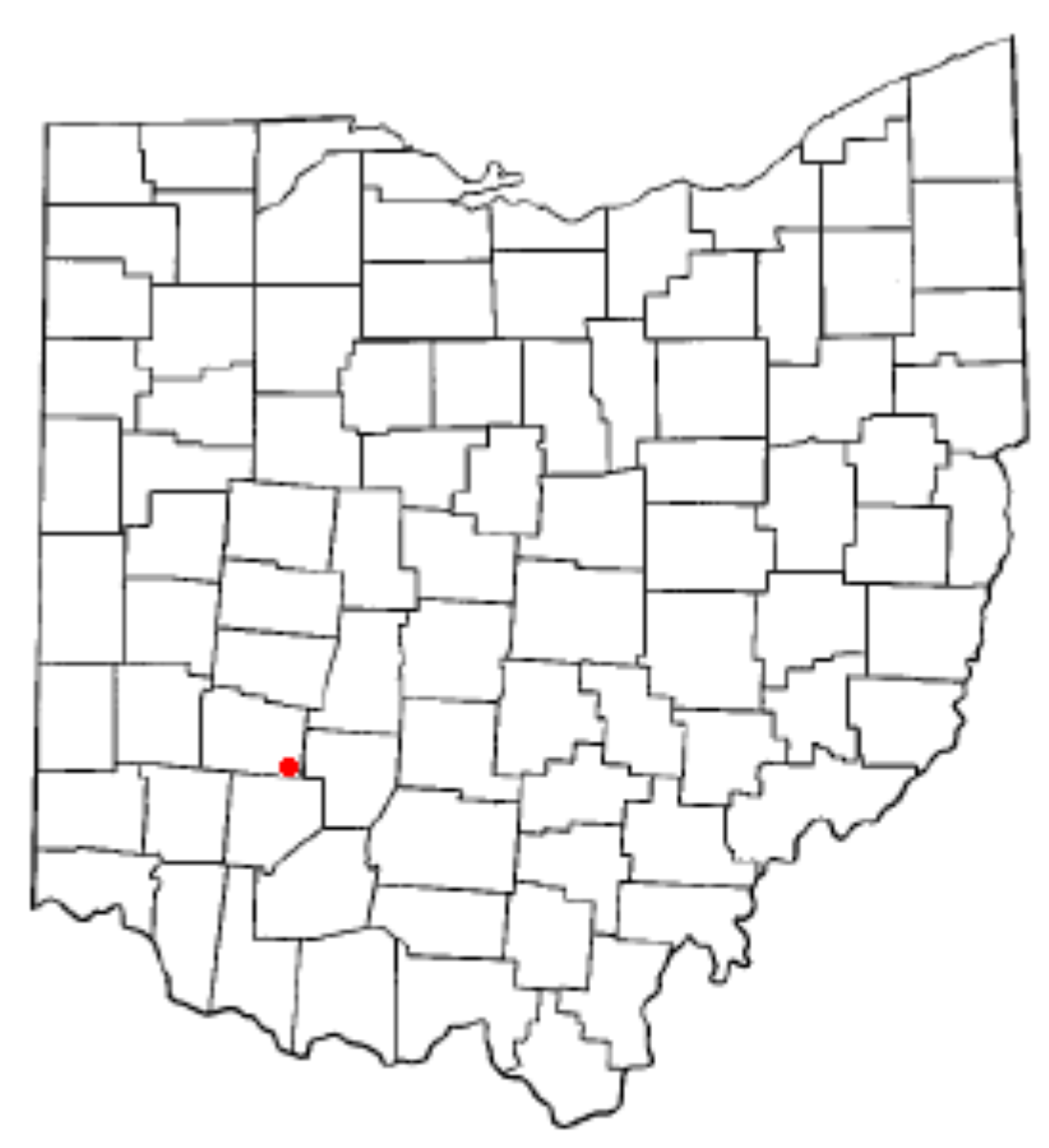 Bowersville, Ohio Wiki