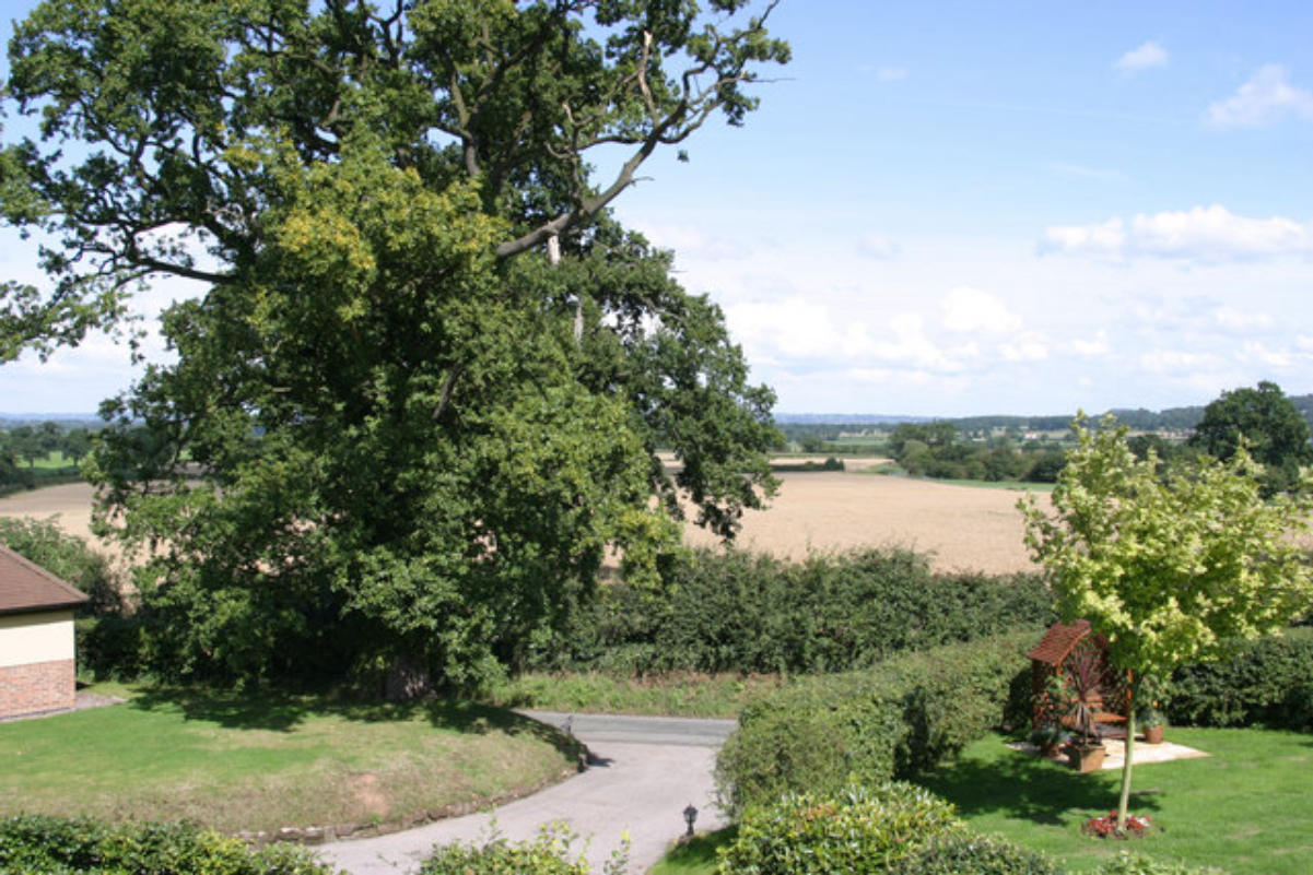 High Cross Lane, Clutton