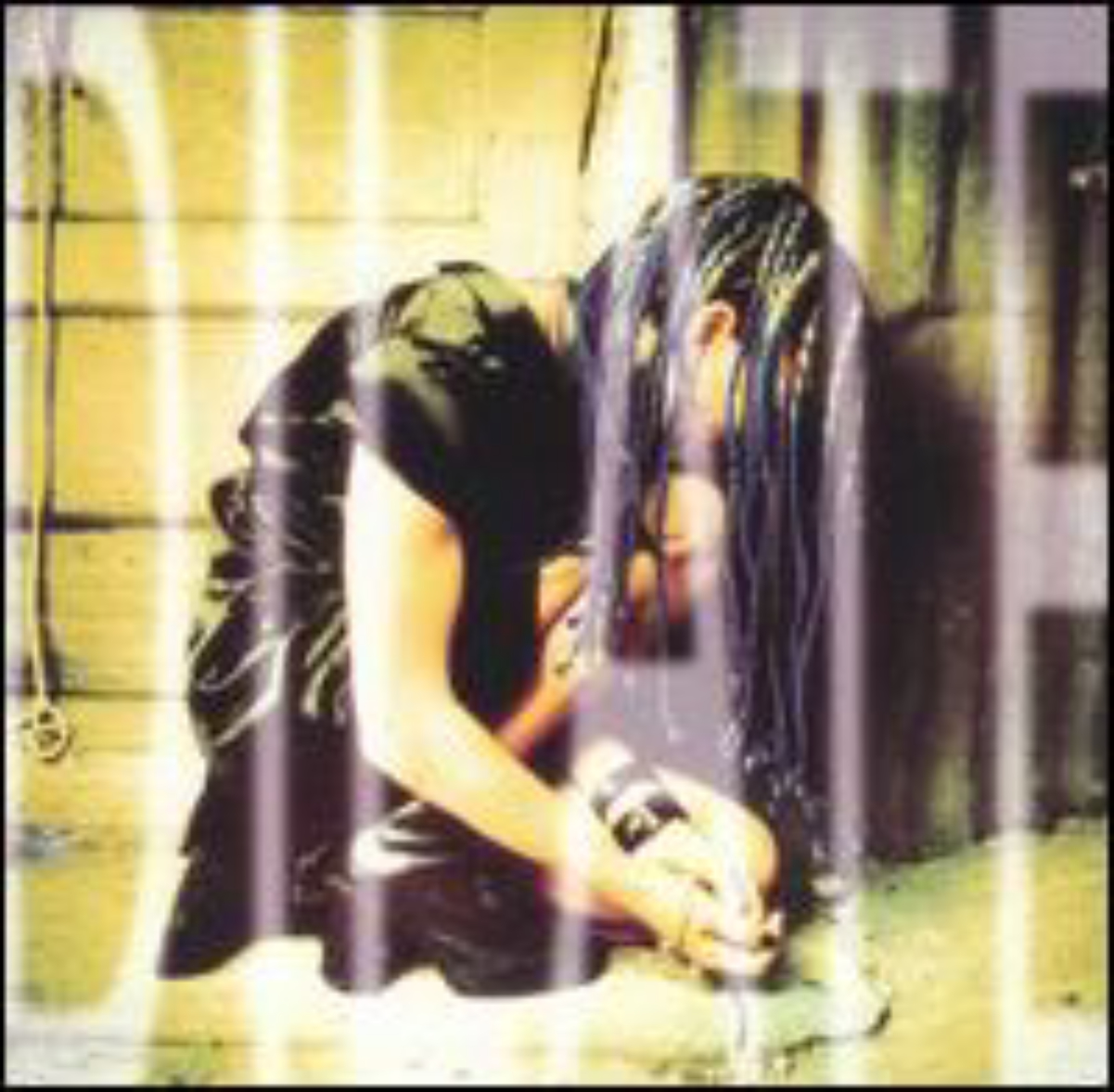 Dilate (Ani DiFranco album)