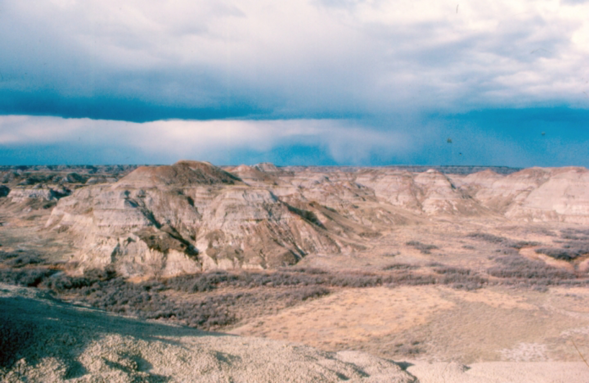 Dinosaur Park Formation exposed along the <a href="/content/Red_Deer_River" style="color:blue">Red Deer River</a> in <a href="/content/Dinosaur_Provincial_Park" style="color:blue">Dinosaur Provincial Park</a>, southeastern Alberta, Canada.