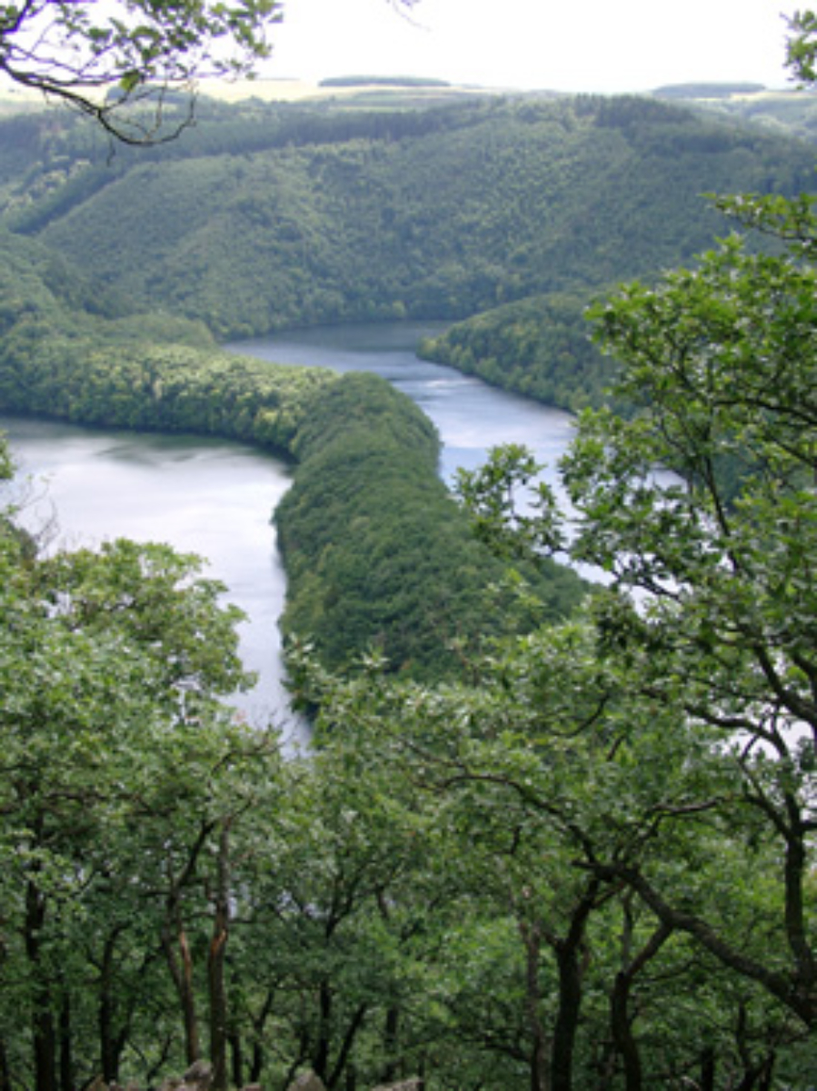 View from <a href="/content/Kermeter" style="color:blue">Kermeter</a> of the Urft Reservoir