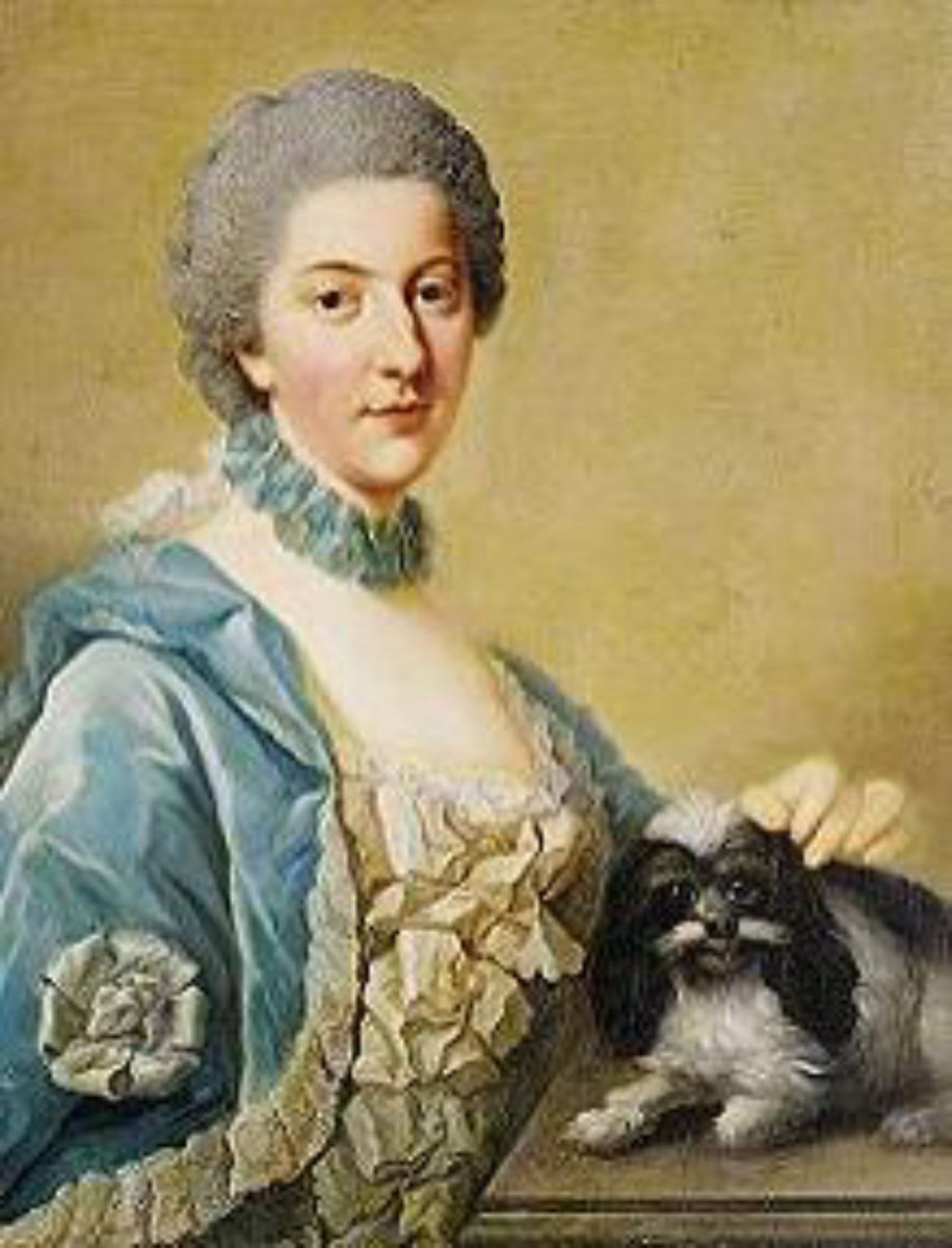 Portrait by <a href="/content/Johann_Georg_Ziesenis" style="color:blue">Johann Georg Ziesenis</a>, 1765