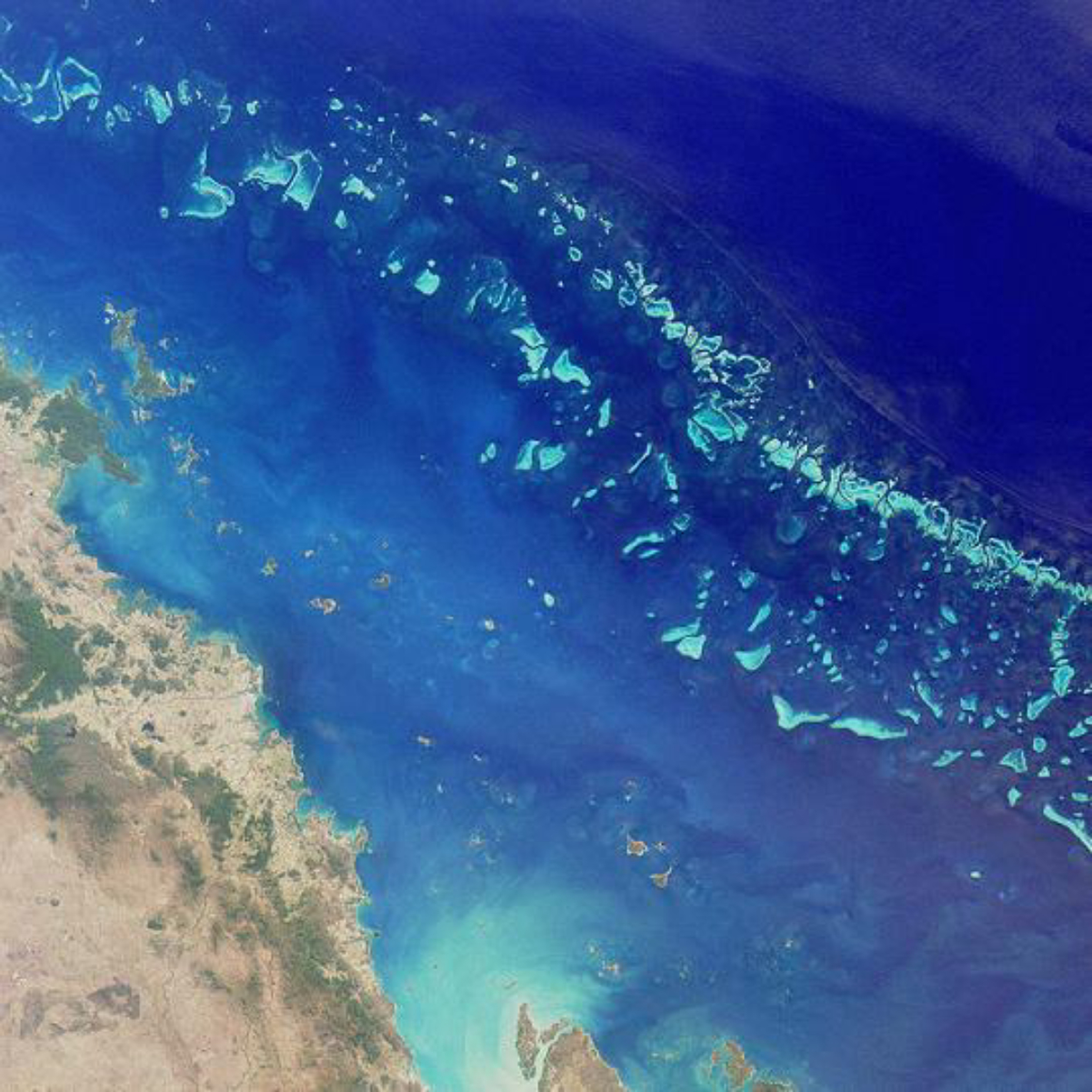Satellite image of part of the Great Barrier Reef adjacent to the Queensland coastal areas of <a href="/content/Airlie_Beach" style="color:blue">Airlie Beach</a> and <a href="/content/Mackay,_Queensland" style="color:blue">Mackay</a>.