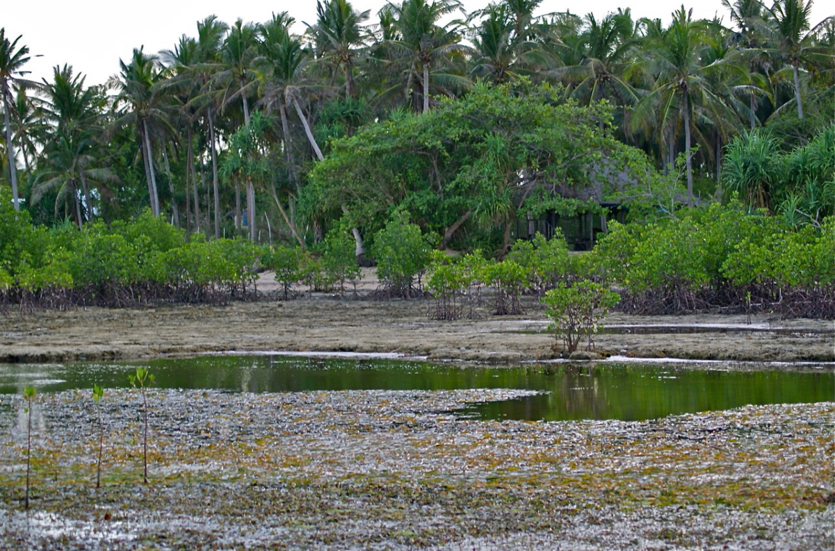 Bancao Beach at low tide, showing the intertidal zone about 200 m from the beach