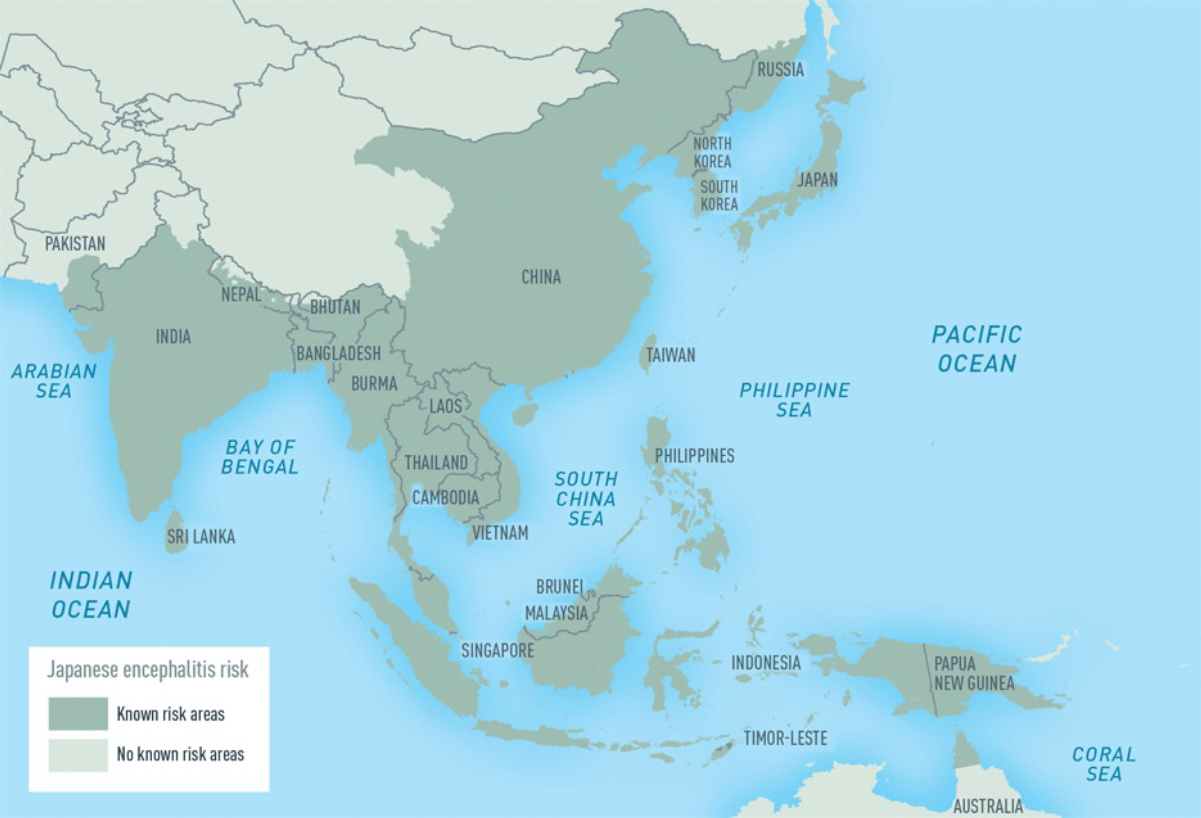 Japanese encephalitis