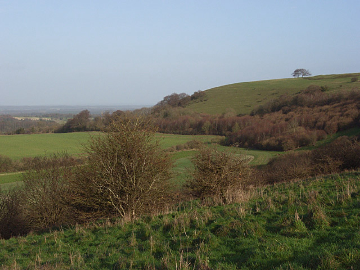 Looking northeast towards Ladle Hill