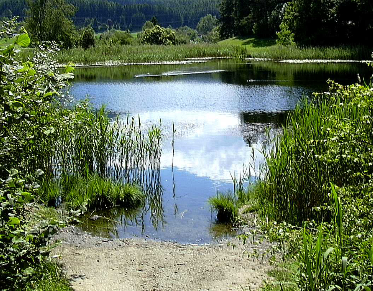 Lanser Moor