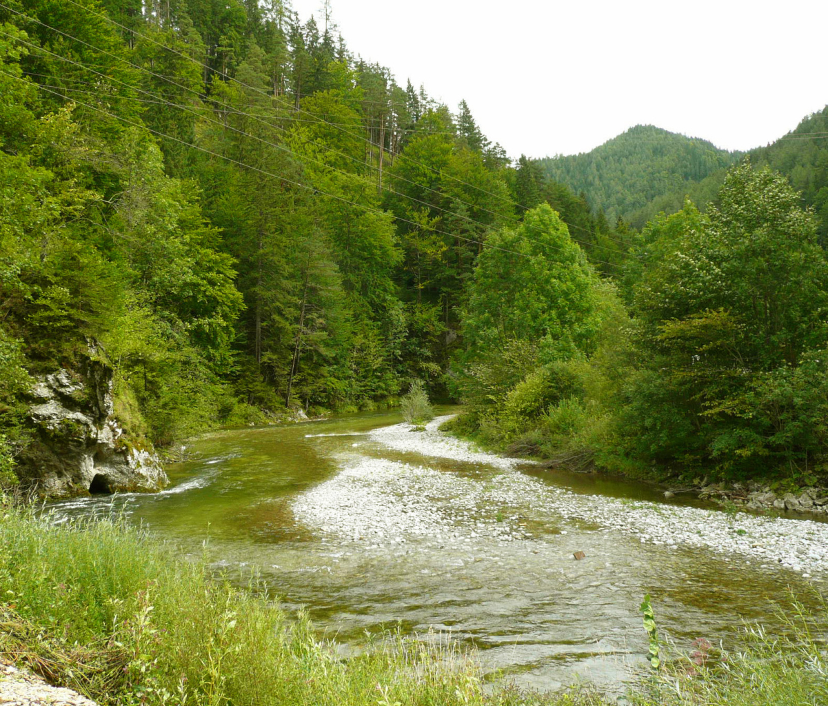 The Mürz upstream of Neuberg