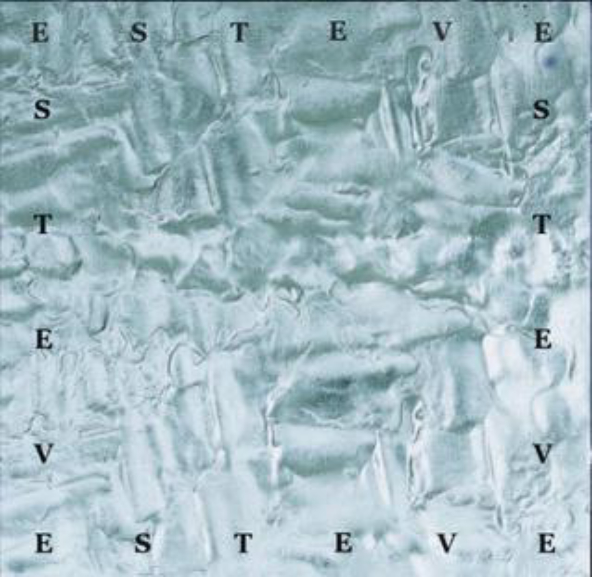 Metal (Pierre Estève album)