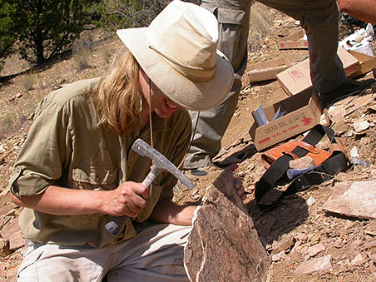 A paleontologist at work at <a href="/content/John_Day_Fossil_Beds_National_Monument" style="color:blue">John Day Fossil Beds National Monument</a>