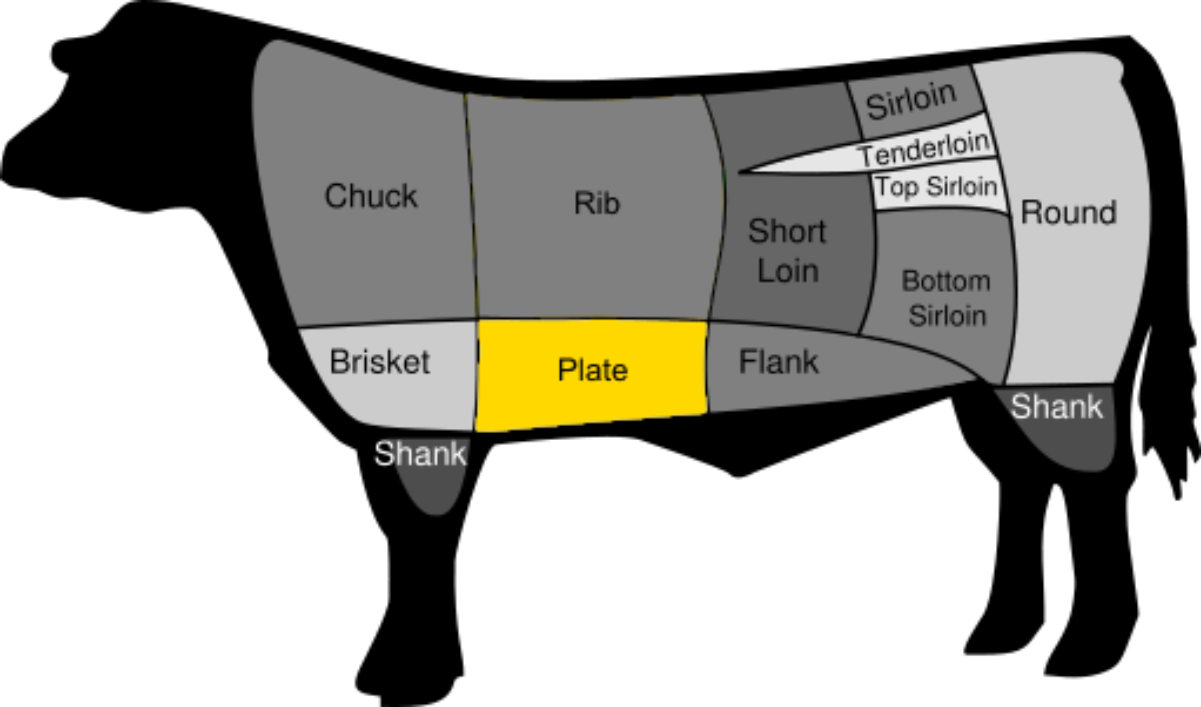 The plate, an American cut of beef from which short ribs may be taken.