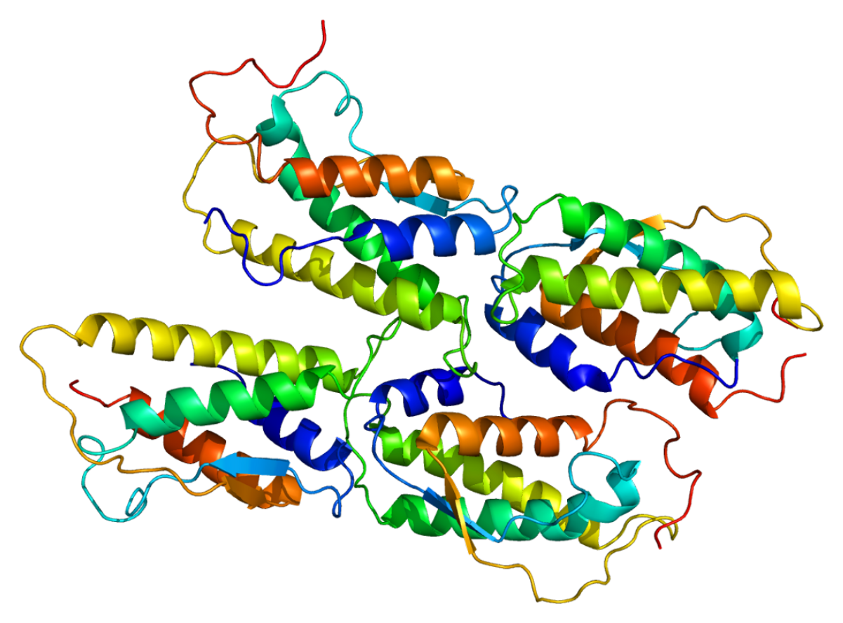бета-2-ре-цепторами. Cell factor. альтернативный белок. Cd 8+ лимфоцитыь гранзины. Biologiya ppt.