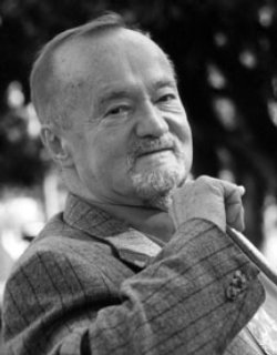 Toulmin analysis example picture