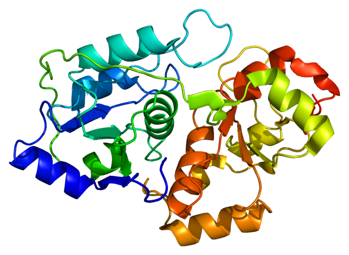 TST (gene) Wiki
