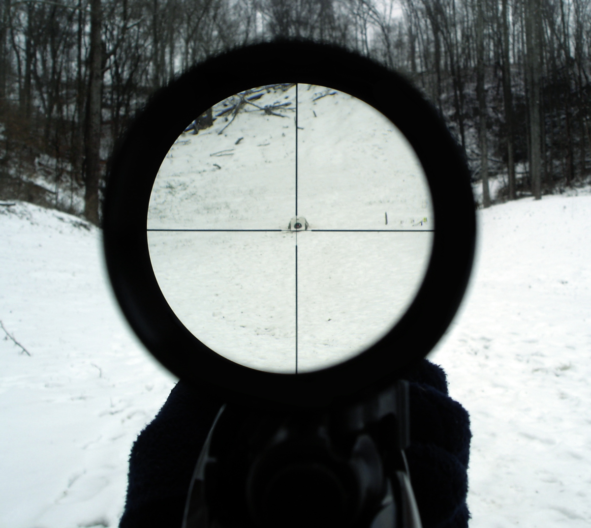 View through a 4× rifle scope