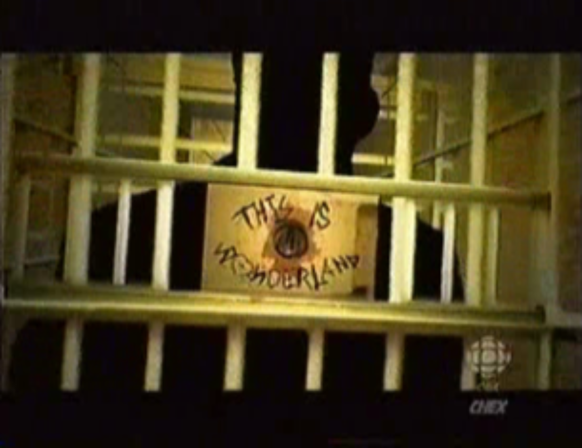 чудо женщина прикол. This is wonder. хаха вумен. галь гадот чудо-женщина. чудо-женщина 1941.