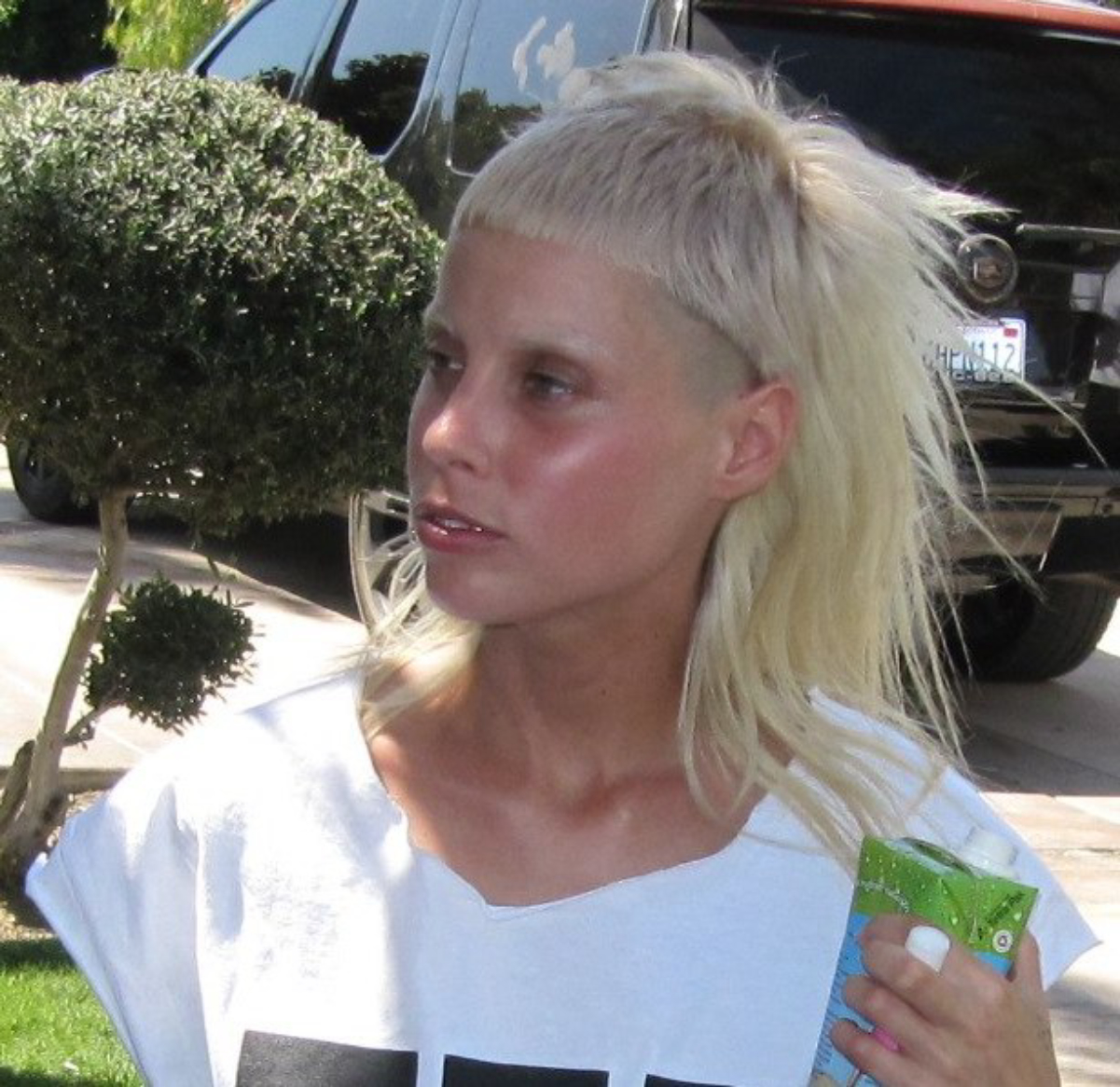 Yolandi Visser Wiki.